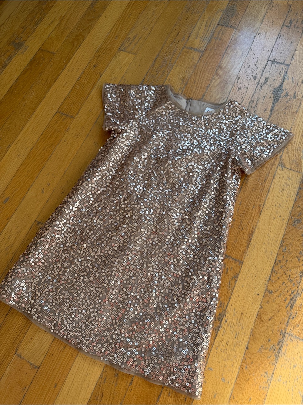 Gap Champagne Sequin Dress